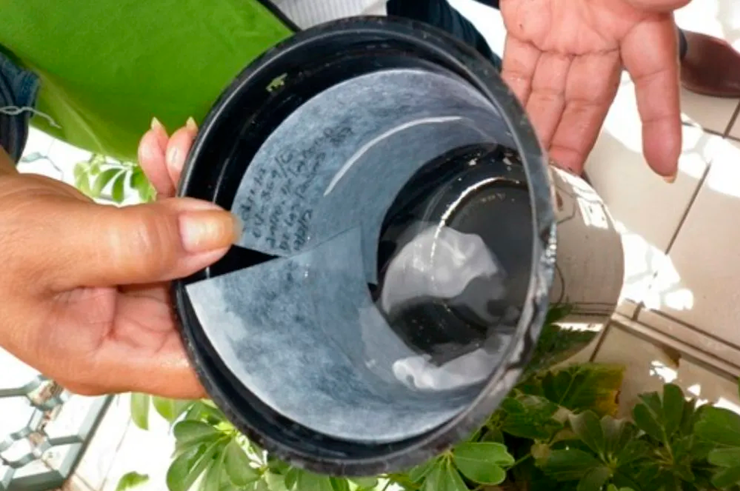 Trampas Mosquitos