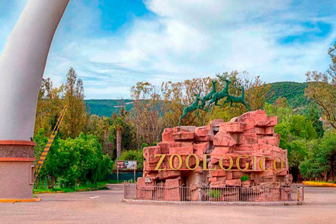 Zoológico