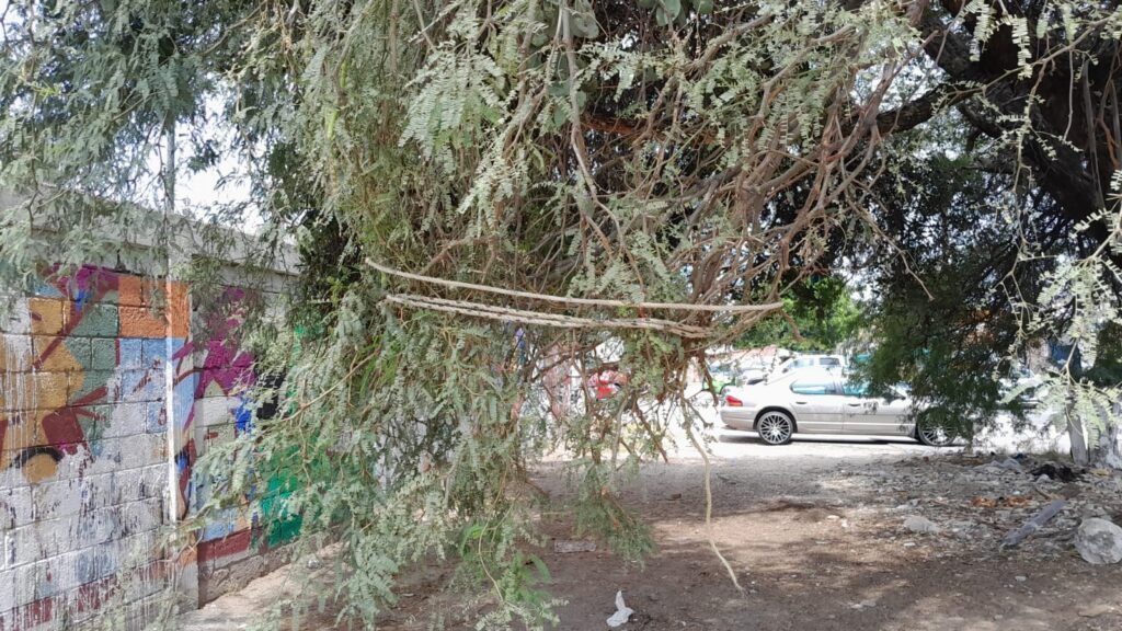 WhatsApp Image 2025-05-28 at 4.05.20 PM