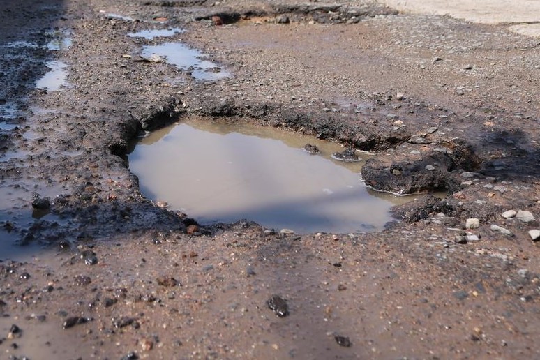 Baches
