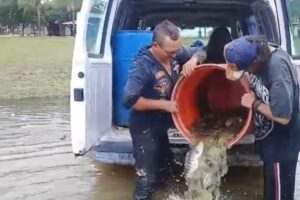 34510589-2169-41d5-98a1-f3b2ceaa3bf4