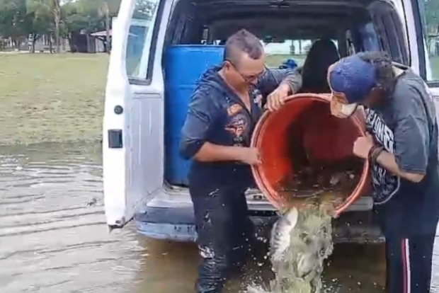 34510589-2169-41d5-98a1-f3b2ceaa3bf4