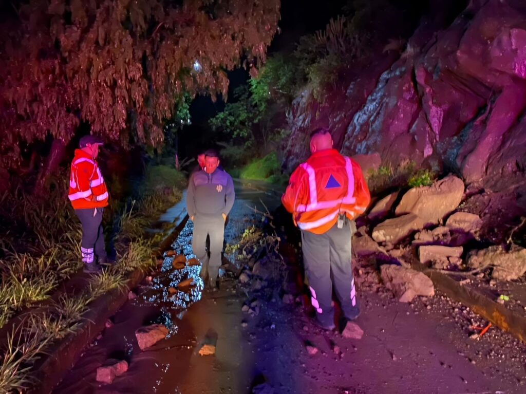 7c366128-e65b-4819-bc98-8195cf522208