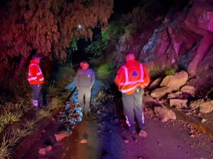 7c366128-e65b-4819-bc98-8195cf522208