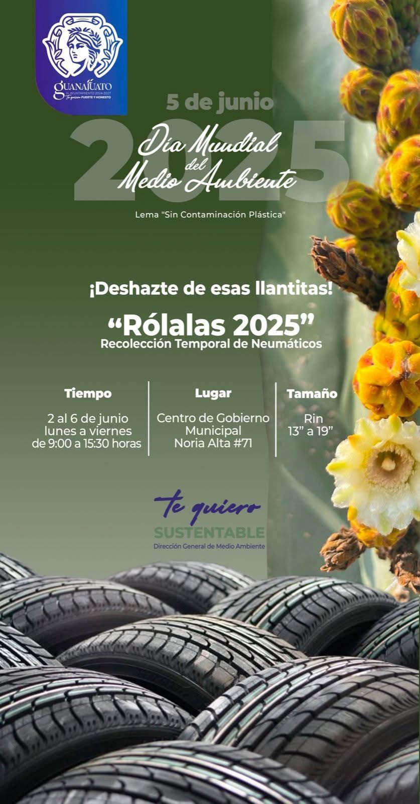 8549479d-e13f-41ab-b3da-b65444a7fc4e