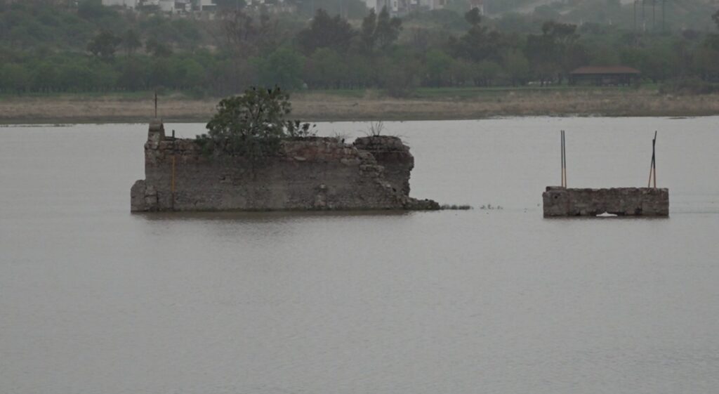 WhatsApp Image 2025-06-20 at 5.29.47 PM