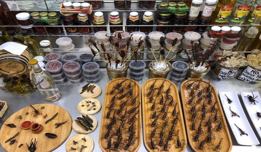 WhatsApp Image 2025-06-28 at 7.08.51 PM