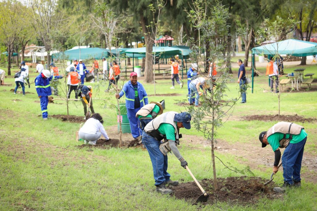 505868814_1028387136093099_800929560938484613_n