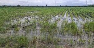 WhatsApp Image 2025-07-01 at 7.38.12 PM