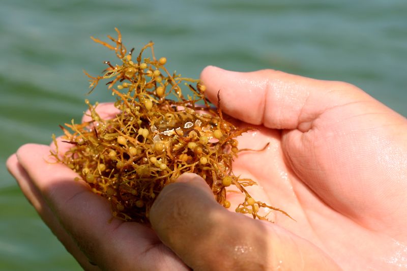 WhatsApp Image 2025-07-04 at 1.52.24 PM