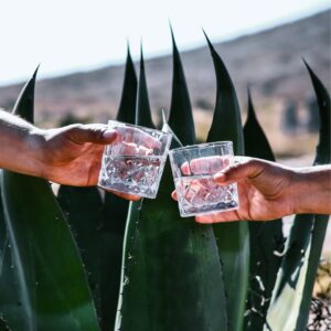 WhatsApp Image 2025-07-11 at 9.44.44 AM