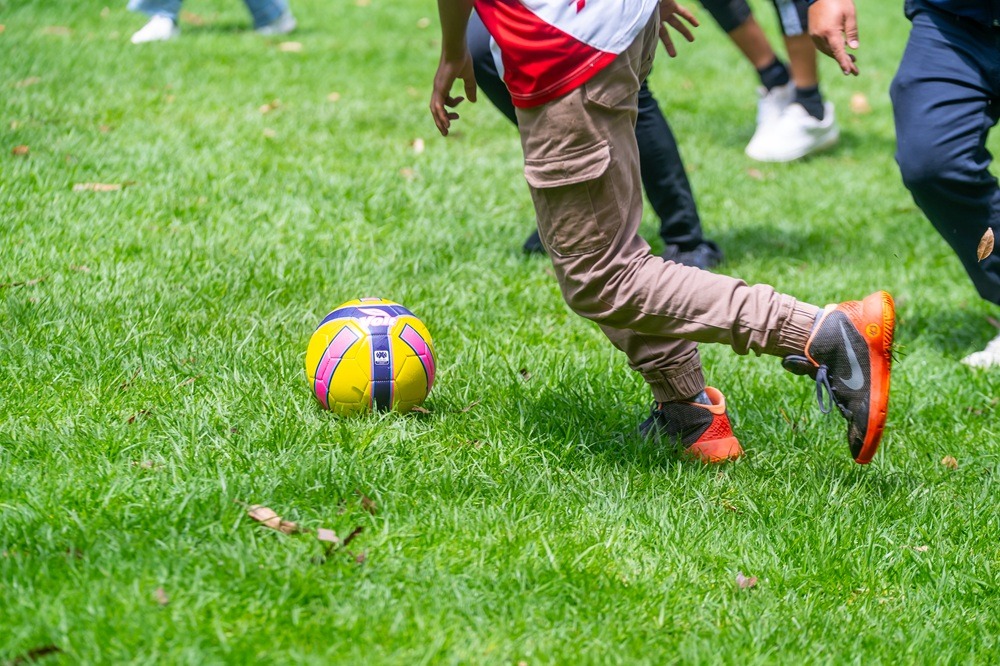 WhatsApp Image 2025-07-15 at 3.10.19 PM