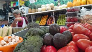 WhatsApp Image 2025-07-18 at 9.09.17 AM