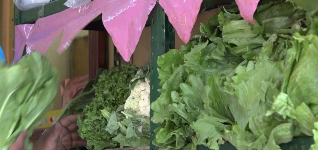 WhatsApp Image 2025-07-28 at 5.10.08 PM