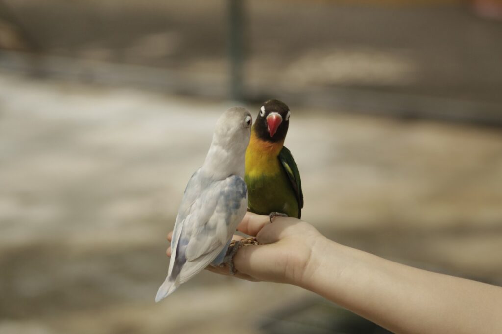 WhatsApp Image 2025-07-30 at 2.48.19 PM