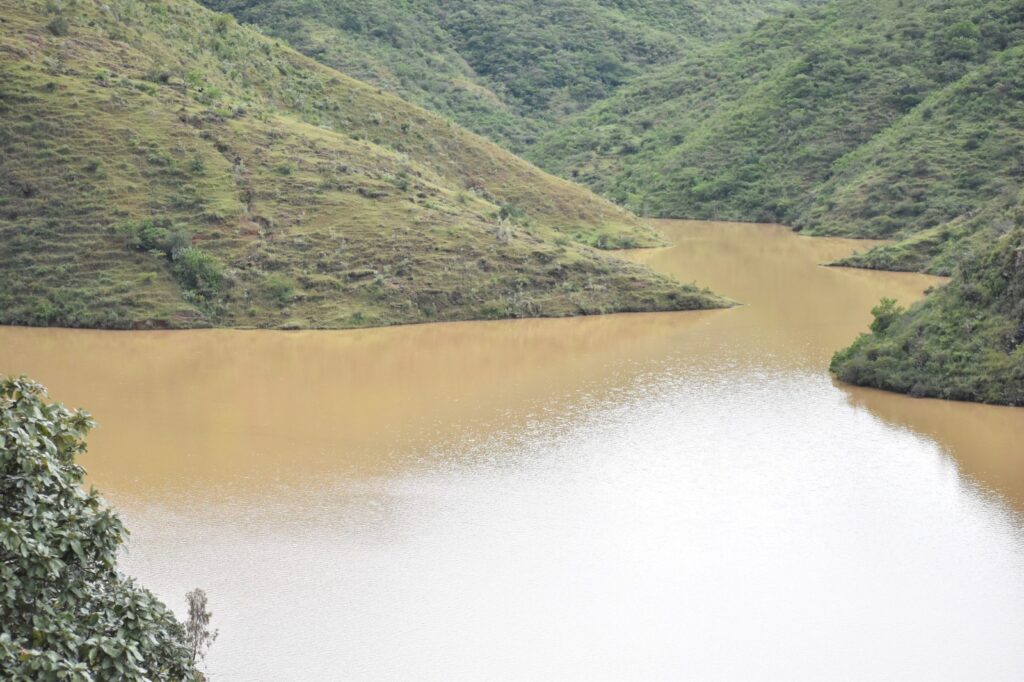 WhatsApp Image 2025-07-31 at 3.14.25 PM