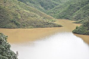 WhatsApp Image 2025-07-31 at 3.14.25 PM