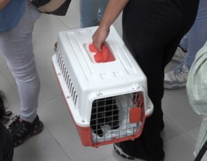 bbff0928-4bf1-44e0-b023-84483575f236