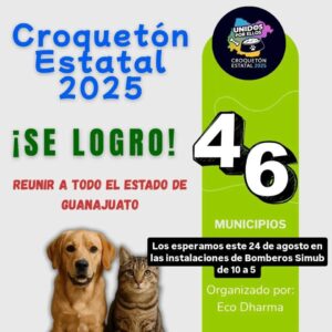 703d1a6f-073e-4e41-a06a-507fca83572c