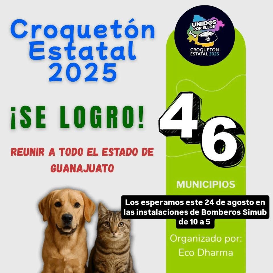 703d1a6f-073e-4e41-a06a-507fca83572c