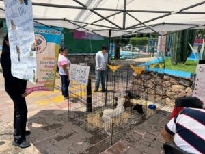 8b37d354-3edd-4759-964d-311fc834f1a9