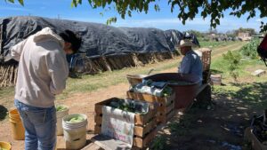 WhatsApp Image 2025-08-05 at 5.11.01 PM