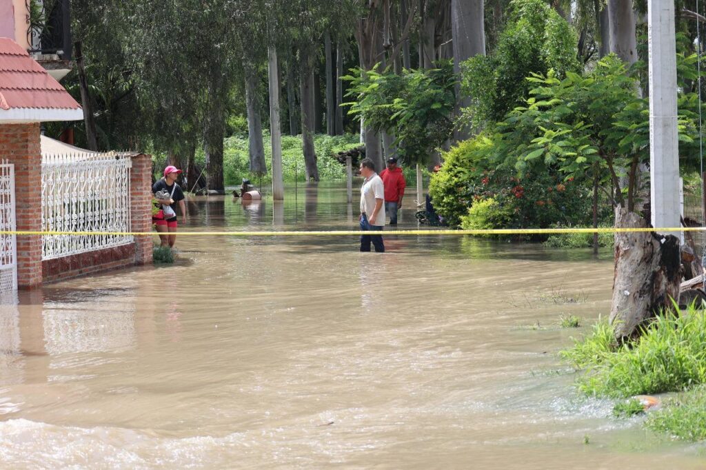 WhatsApp Image 2025-09-05 at 4.00.28 PM