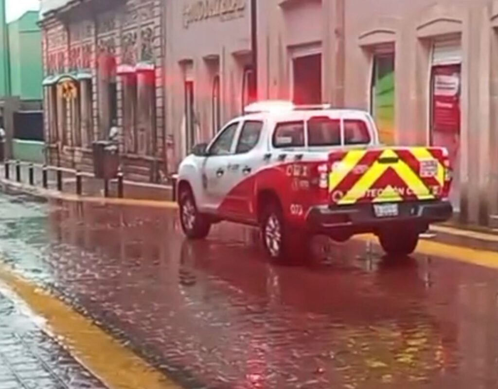 WhatsApp Image 2025-09-08 at 4.20.09 PM