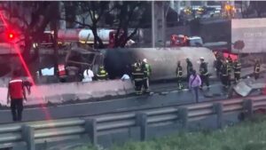 WhatsApp Image 2025-09-19 at 1.13.15 PM