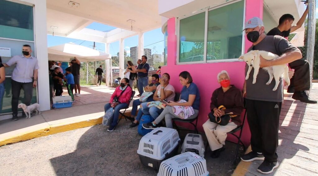 cdcc89f8-20a0-4b43-95ae-c34e36c14a07