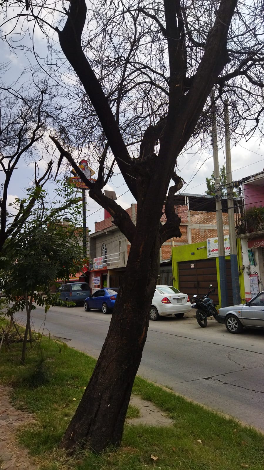 WhatsApp Image 2025-10-07 at 4.11.43 PM