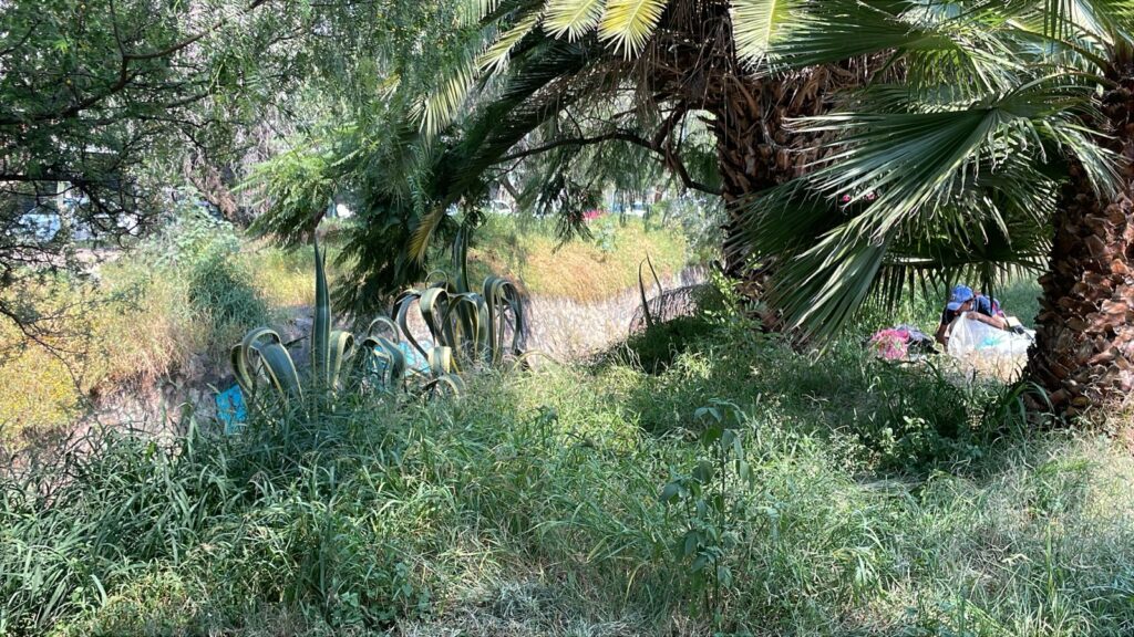 WhatsApp Image 2025-10-14 at 10.46.40 AM