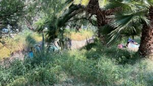 WhatsApp Image 2025-10-14 at 10.46.40 AM