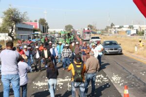 WhatsApp Image 2025-10-27 at 3.24.07 PM