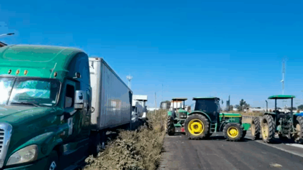 WhatsApp Image 2025-10-28 at 4.54.40 PM