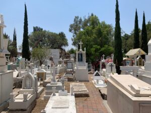 galeria-fa7019a5-5eb9-4950-ae6c-204e5631f2c3_20200915152635