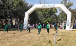 IMG-20251110-WA0052-1000x600