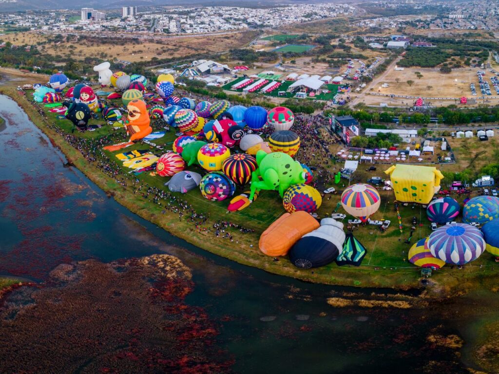 WhatsApp Image 2025-11-04 at 4.43.58 PM