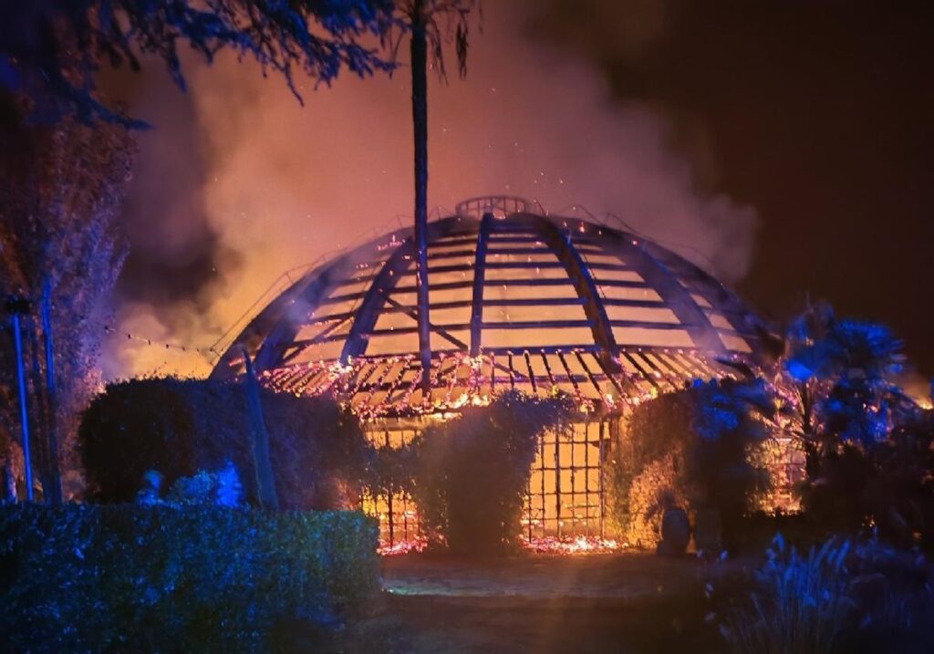 WhatsApp Image 2025-11-04 at 5.09.16 PM (3)