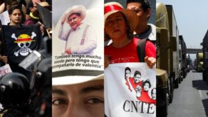 WhatsApp Image 2025-11-13 at 7.01.53 PM