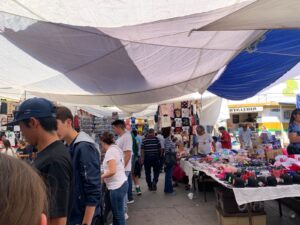 WhatsApp Image 2025-11-17 at 5.21.00 PM