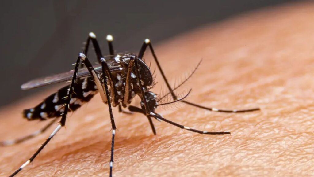 asimismo-leon-lidera-defunciones-descartadas