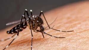 asimismo-leon-lidera-defunciones-descartadas