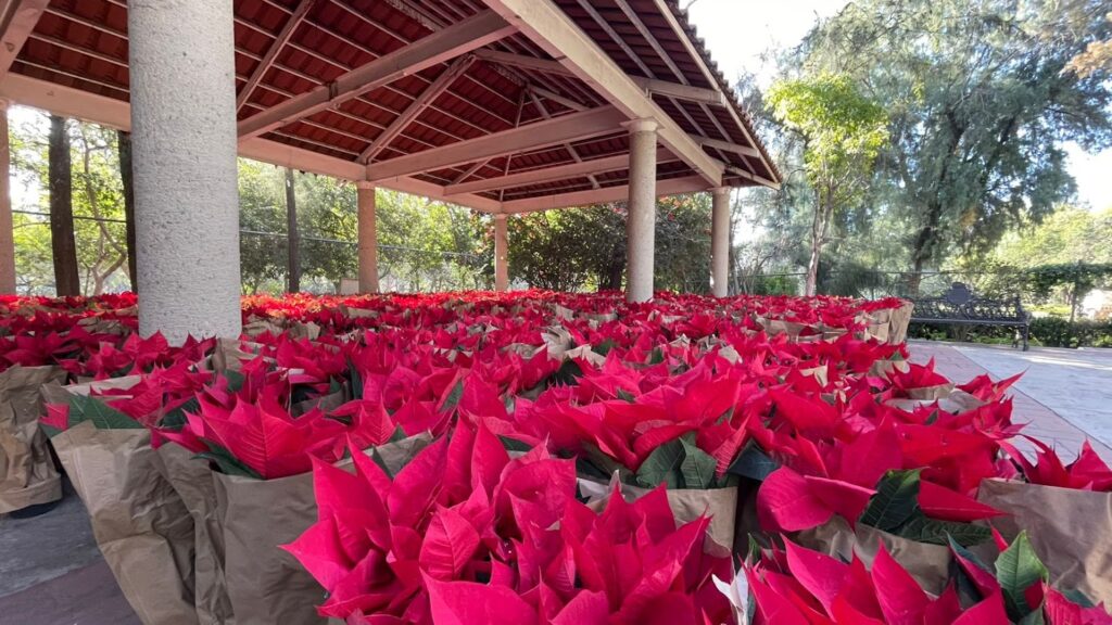 de901c6b-f3d8-4564-9789-022c6274b06d