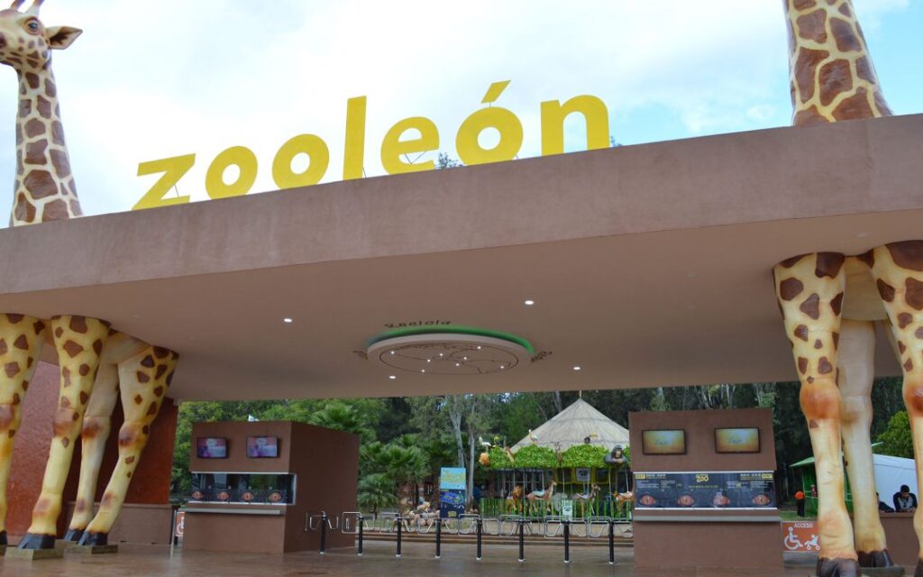 02_TM_ESPECIAL_ENTRETENIMIENTO_RECREACION_PARQUE_ZOOLOGICO_DE_LEON-1080x675-1
