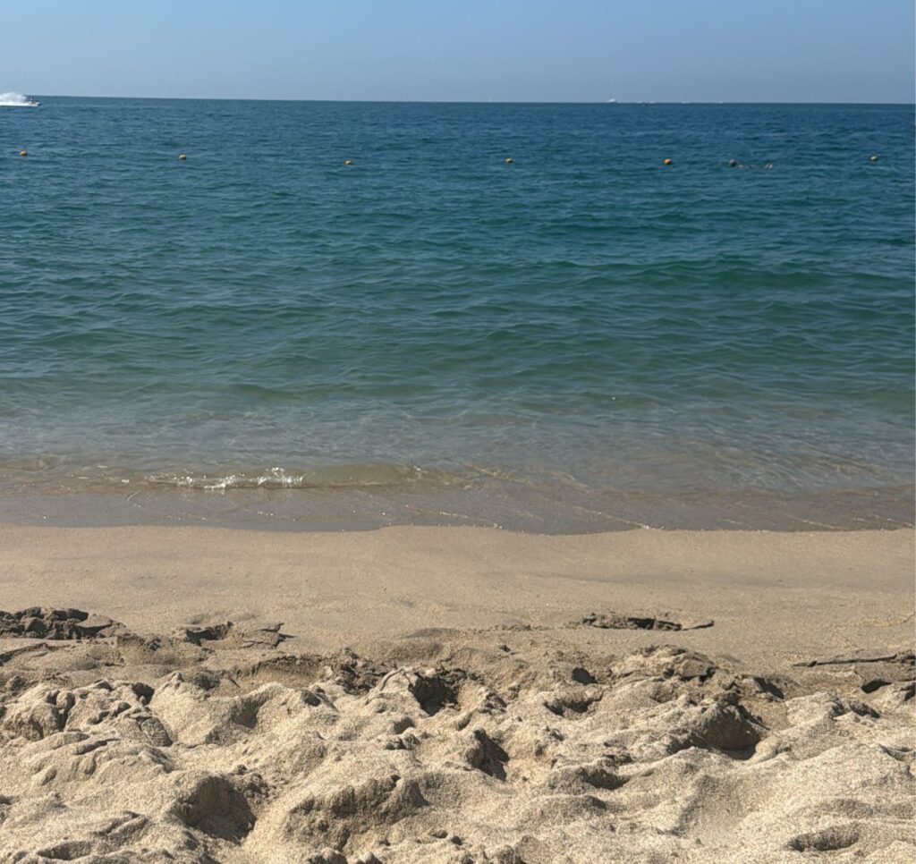 WhatsApp Image 2025-12-16 at 3.46.28 PM