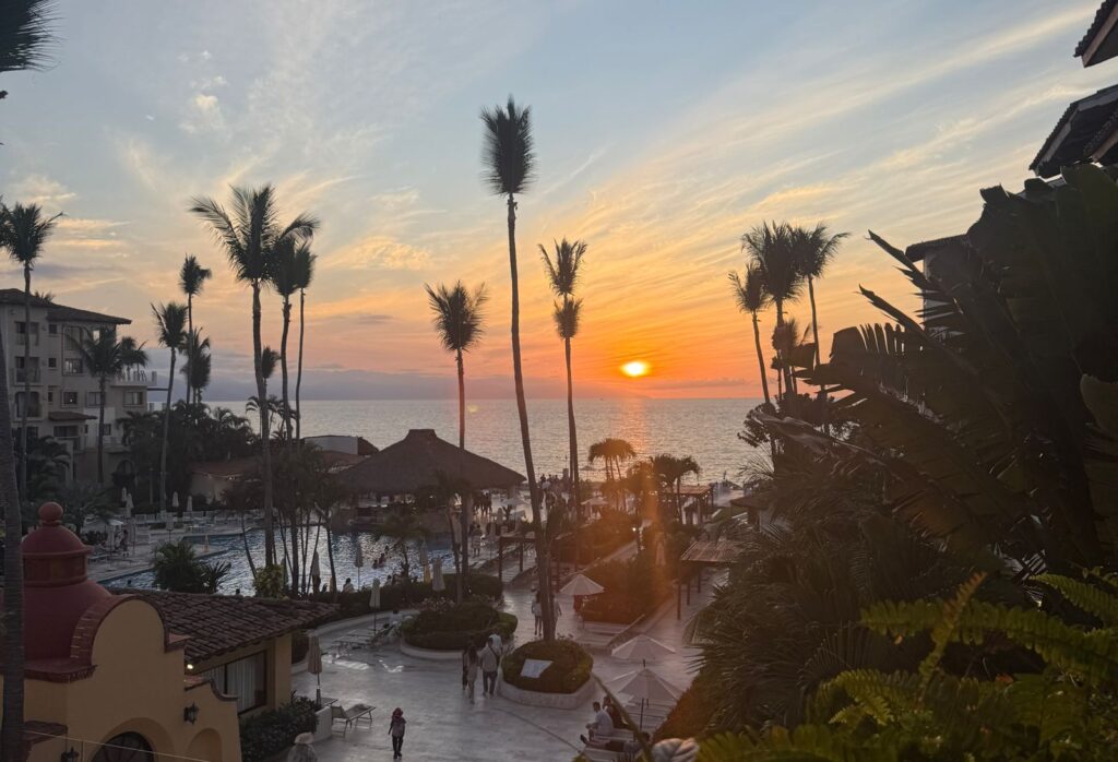 WhatsApp Image 2025-12-16 at 3.54.15 PM