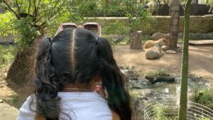 WhatsApp Image 2025-12-22 at 10.55.22 AM