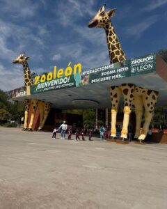 ZOOLOGICO1