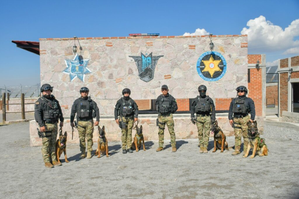 WhatsApp-Image-2026-01-22-at-3.51.16-PM